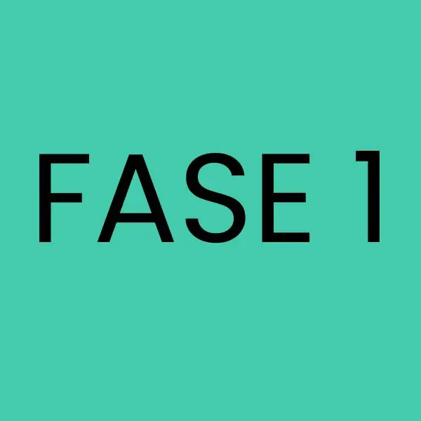 Fase 1: Diagnóstico profundo de datos de distribución - Altius Data