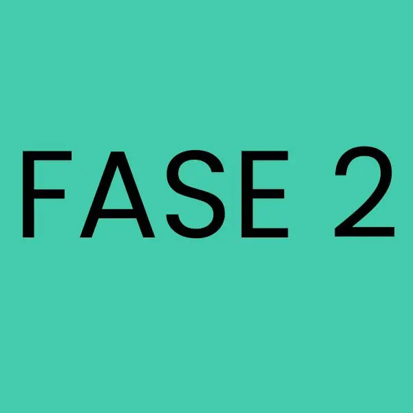 Fase 2: Creación de dashboards ejecutivos en Looker Studio - Altius Data